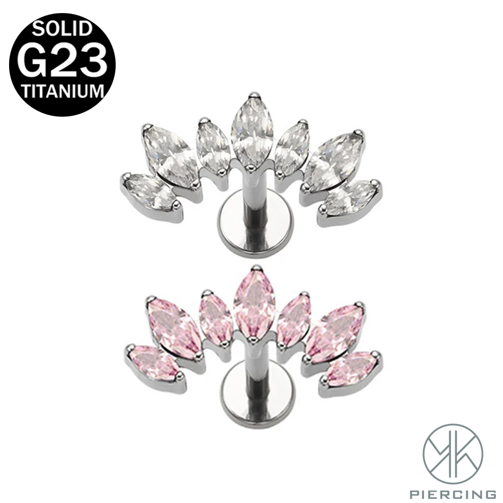 16G 18G F136 titane tout nouve - Body Jewelry Brands avis et prix