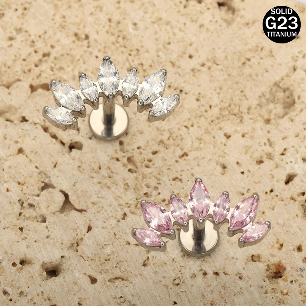 16G 18G F136 titane tout nouve - Body Jewelry Brands avis et prix